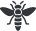 Insect Species Icon