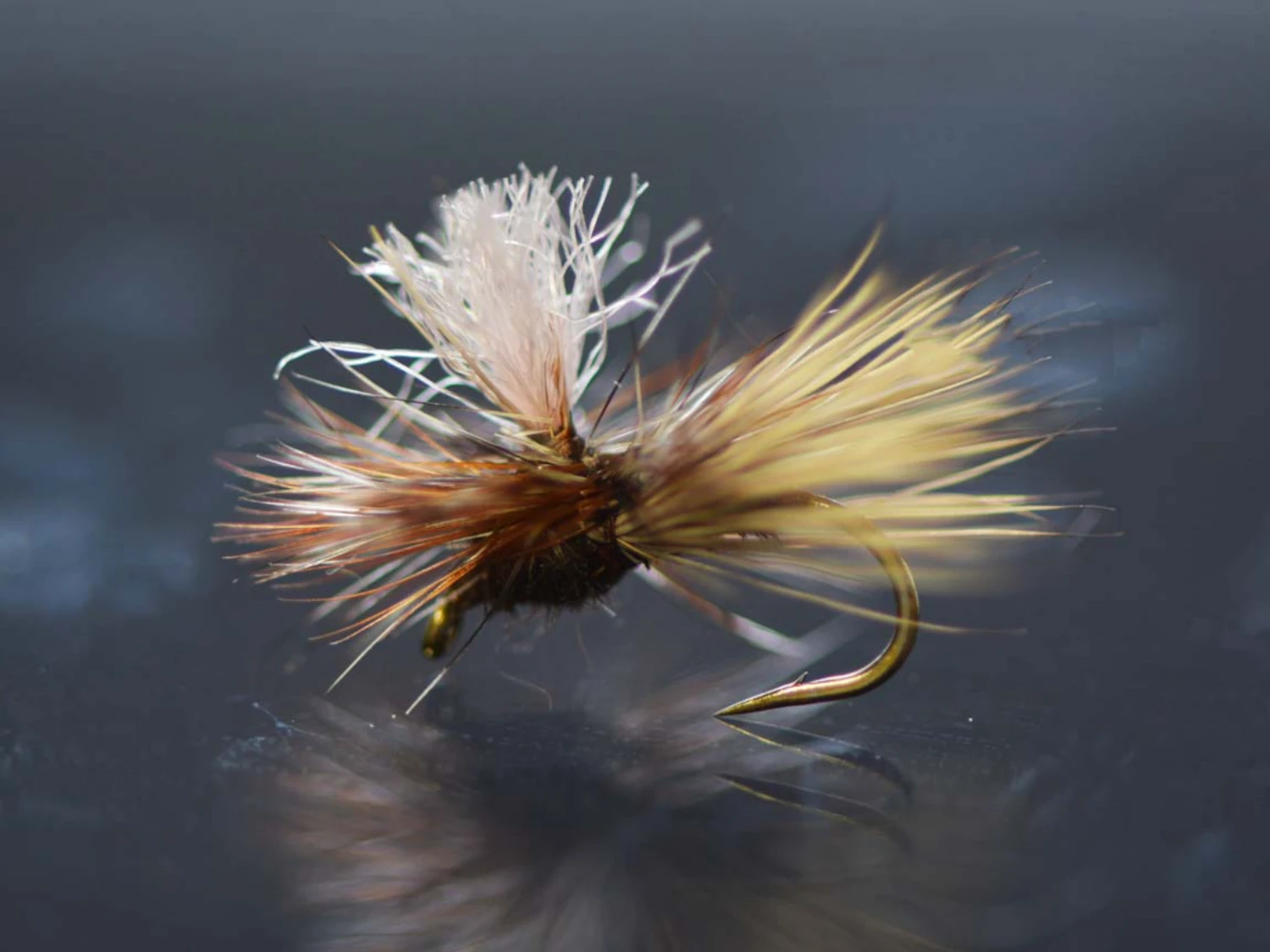 Summer Dry Fly Box