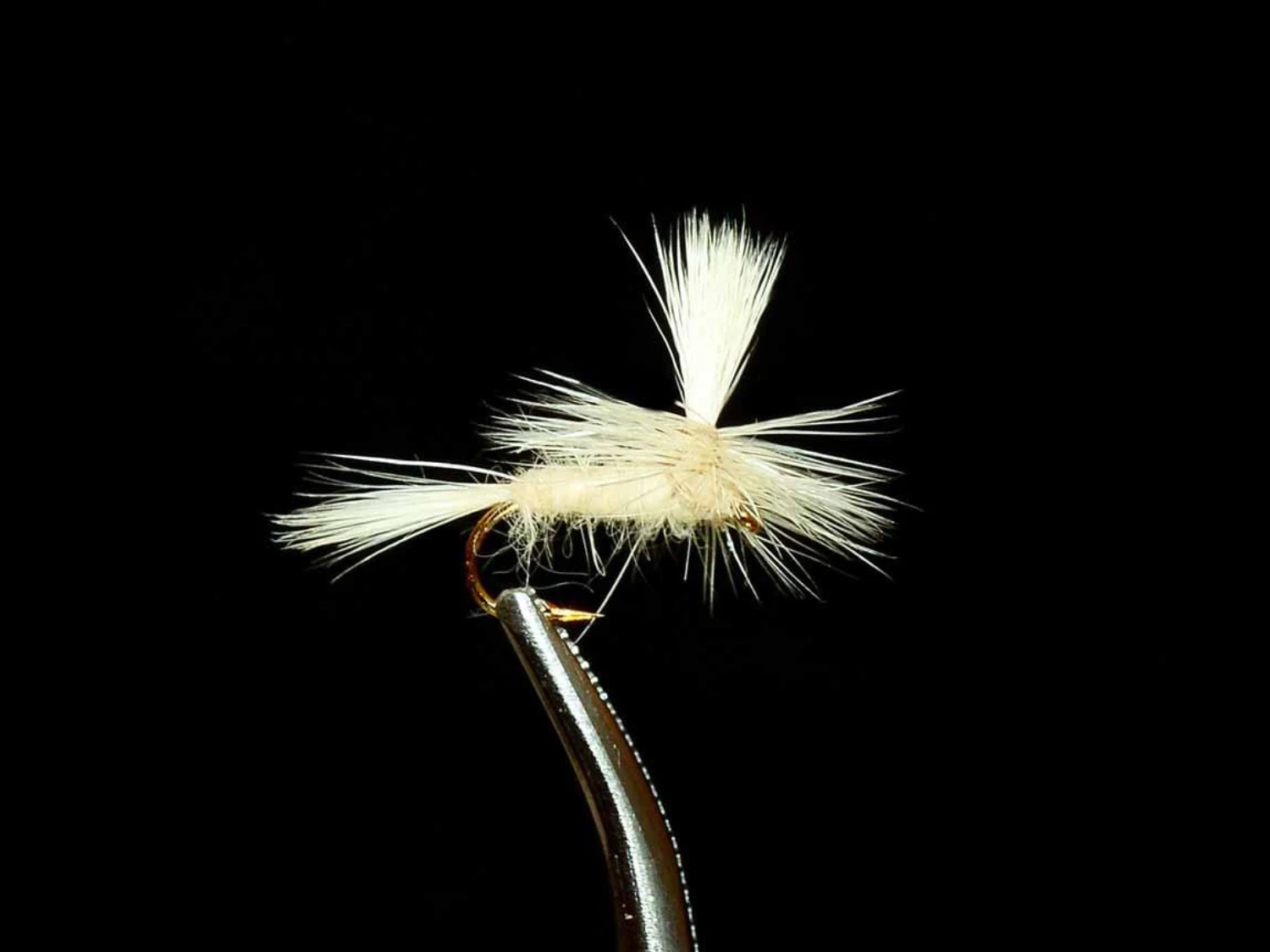 Entomology of the Parachute Adams