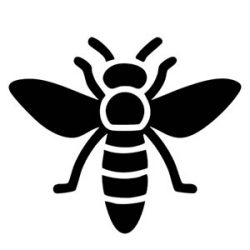 Insect Icon